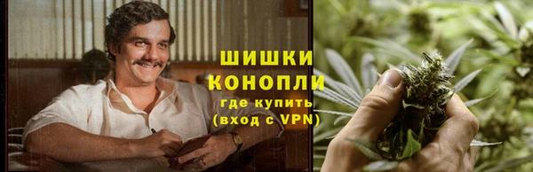 spice Усинск