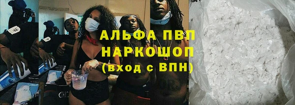 хмурый Аша